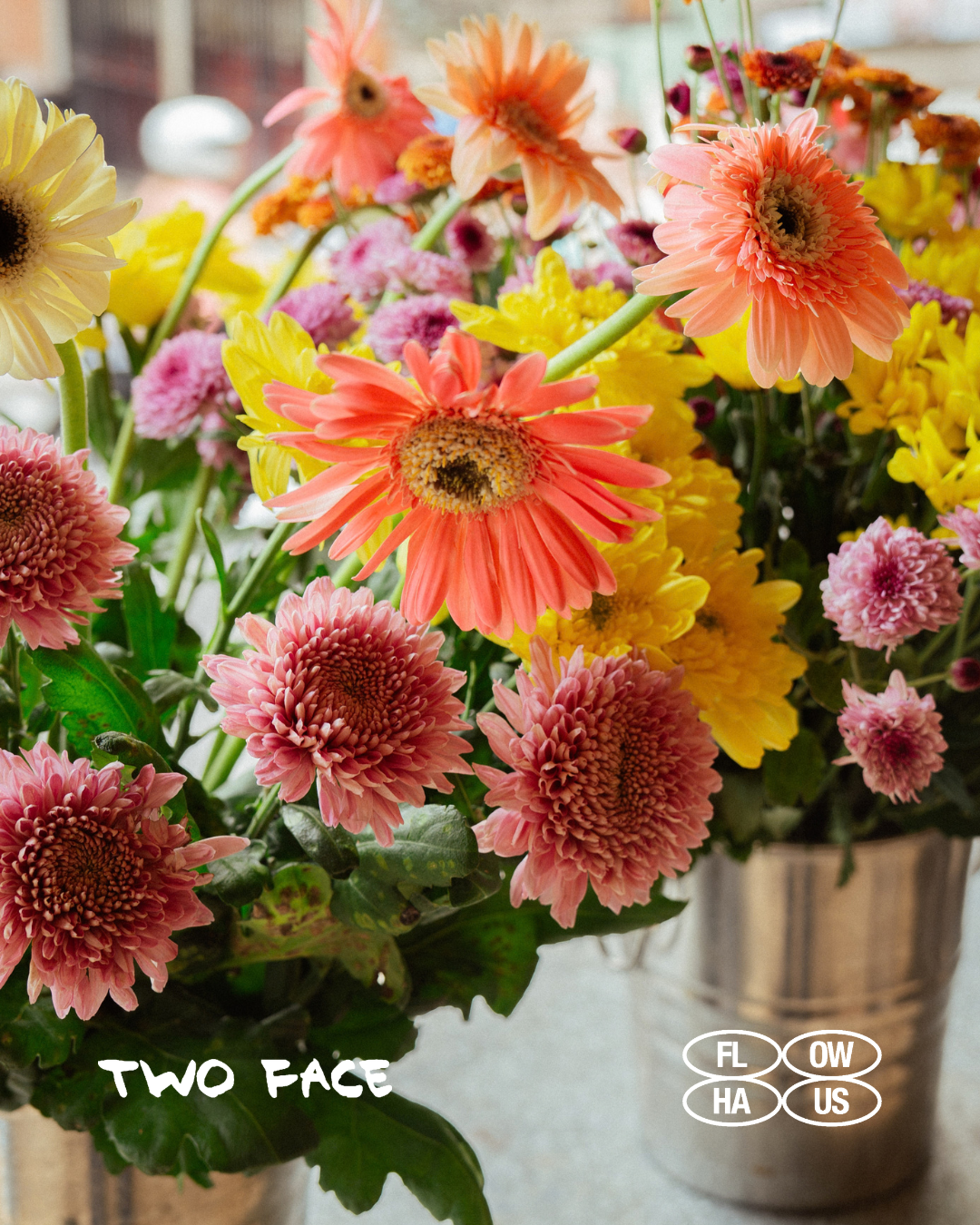 A bright arrangement of gerberas and flowers at TWO FACE, with the TWO FACE and FLOW HAUS PROJECT logos